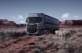 Livestock Carrier parking in a landscape and a flock of sheep standing beside that.