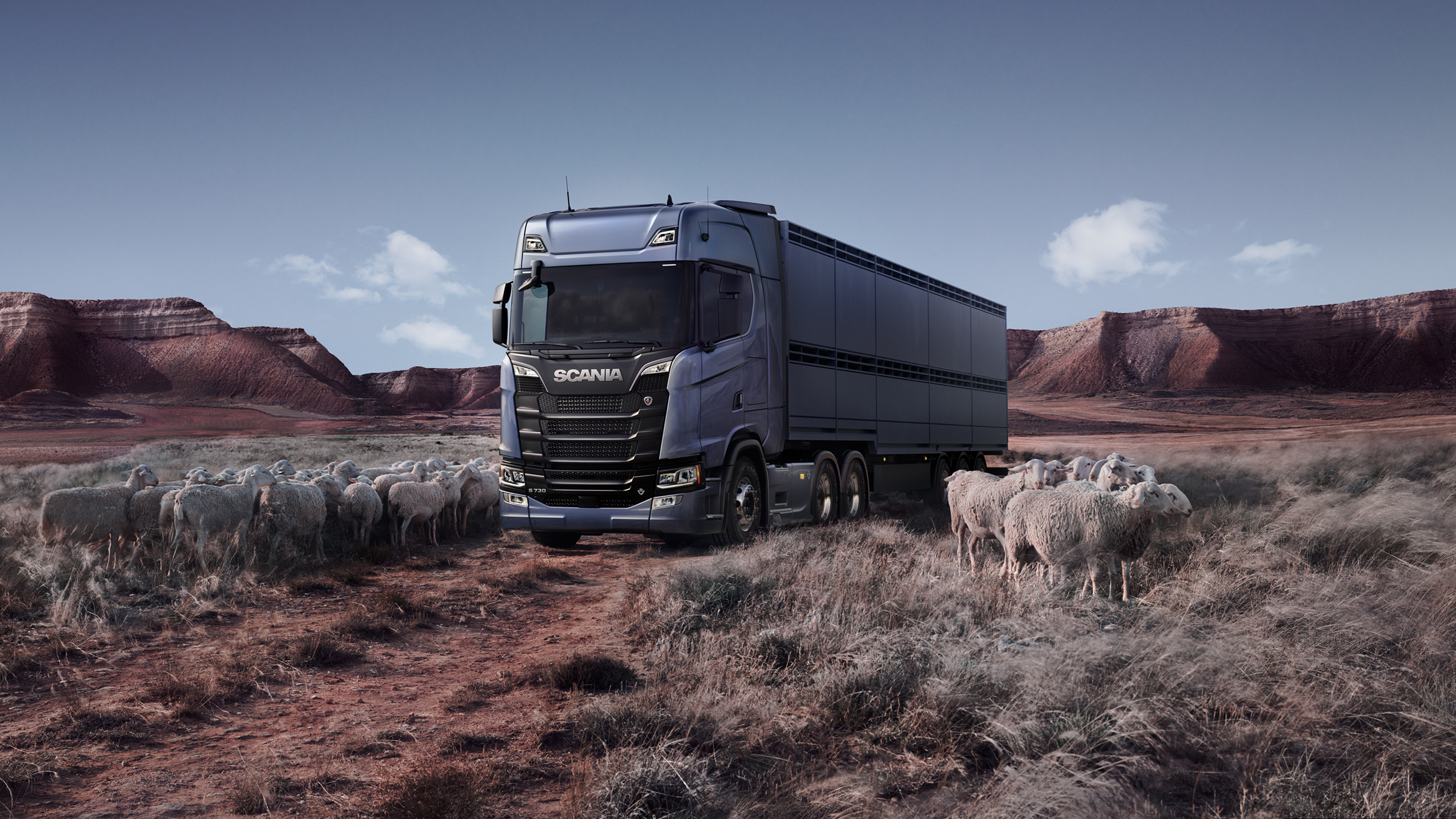 Livestock Carrier parking in a landscape and a flock of sheep standing beside that.