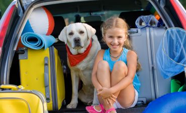 A Cute Little girl sitting in the car truck with her dog.