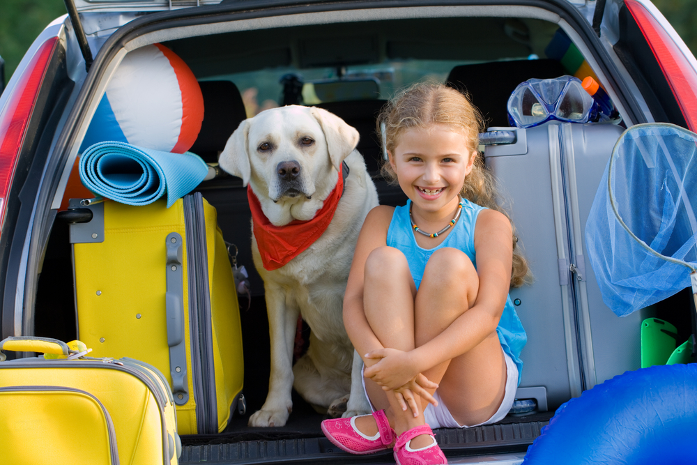 A Cute Little girl sitting in the car truck with her dog.